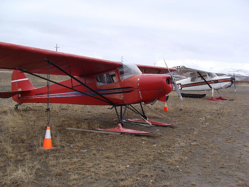 Alaska 2008 034.jpg